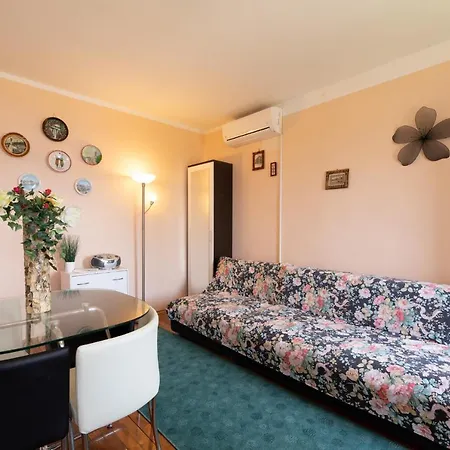 Brozina ツリクヴェニツァ